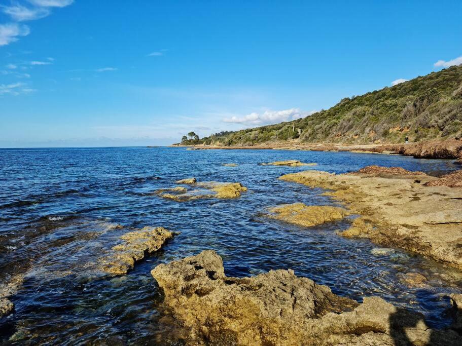 Appartement Sur La Baie De Saint Florent ปาทริโมนิโอ ภายนอก รูปภาพ