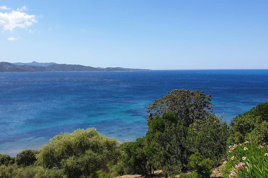 Appartement Sur La Baie De Saint Florent ปาทริโมนิโอ ภายนอก รูปภาพ
