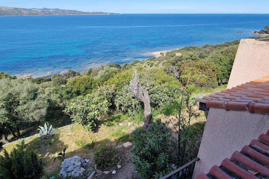 Appartement Sur La Baie De Saint Florent ปาทริโมนิโอ ภายนอก รูปภาพ