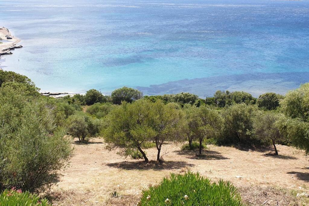 Appartement Sur La Baie De Saint Florent ปาทริโมนิโอ ภายนอก รูปภาพ